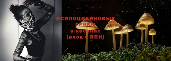 метадон Арсеньев
