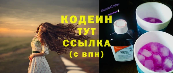 гашик Аркадак
