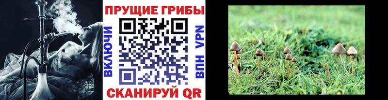 Галлюциногенные грибы прущие грибы Купить закладки Бутурлиновка